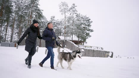 Stilvolles-Junges-Paar,-Das-Sich-An-Einem-Hellen-Tag-Im-Winterpark-In-Der-Nähe-Des-Sees-Mit-Seinem-Freund-Husky-Vergnügt,-Sich-Umarmt-Und-Lächelt