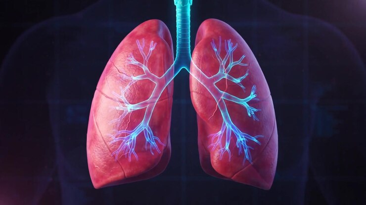 3D medical illustration of human lungs with a glowing blue bronchial tree branching through the respiratory tissue