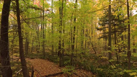 famous canadian travel destination in autumn viewed by drone flying in forest