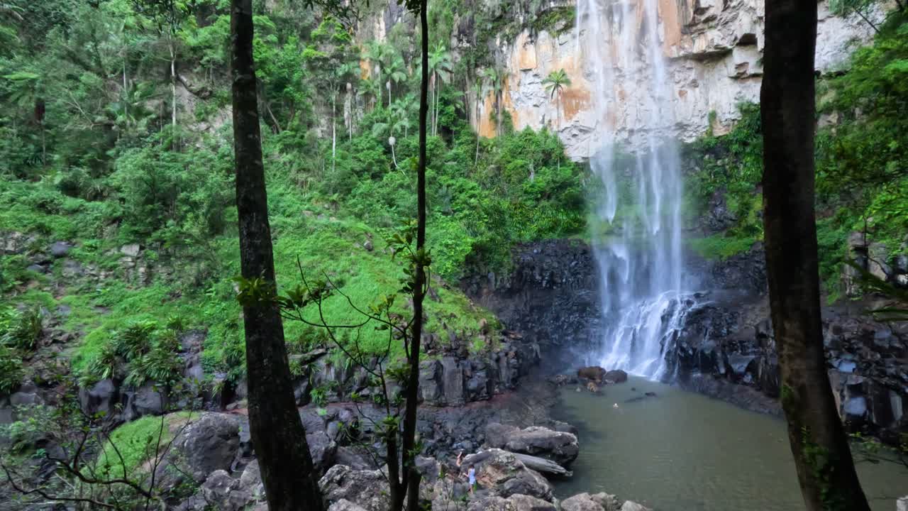 cascada en cascada en el bosque verde exuberante