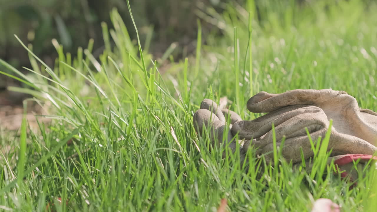los guantes de cuero sucios se encuentran en el césped verde del jardín con el viento moviendo las briznas de hierba durante un día soleado