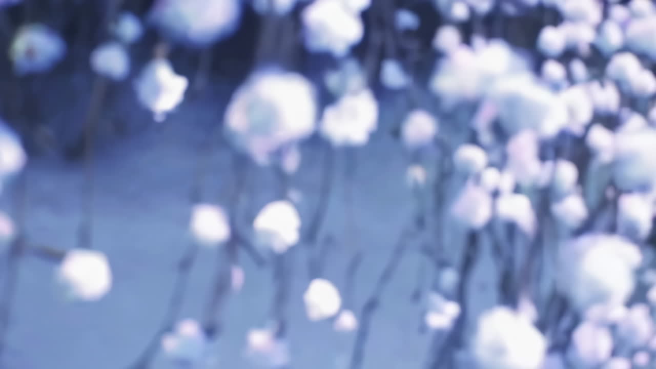 흐릿한 꽃 배경