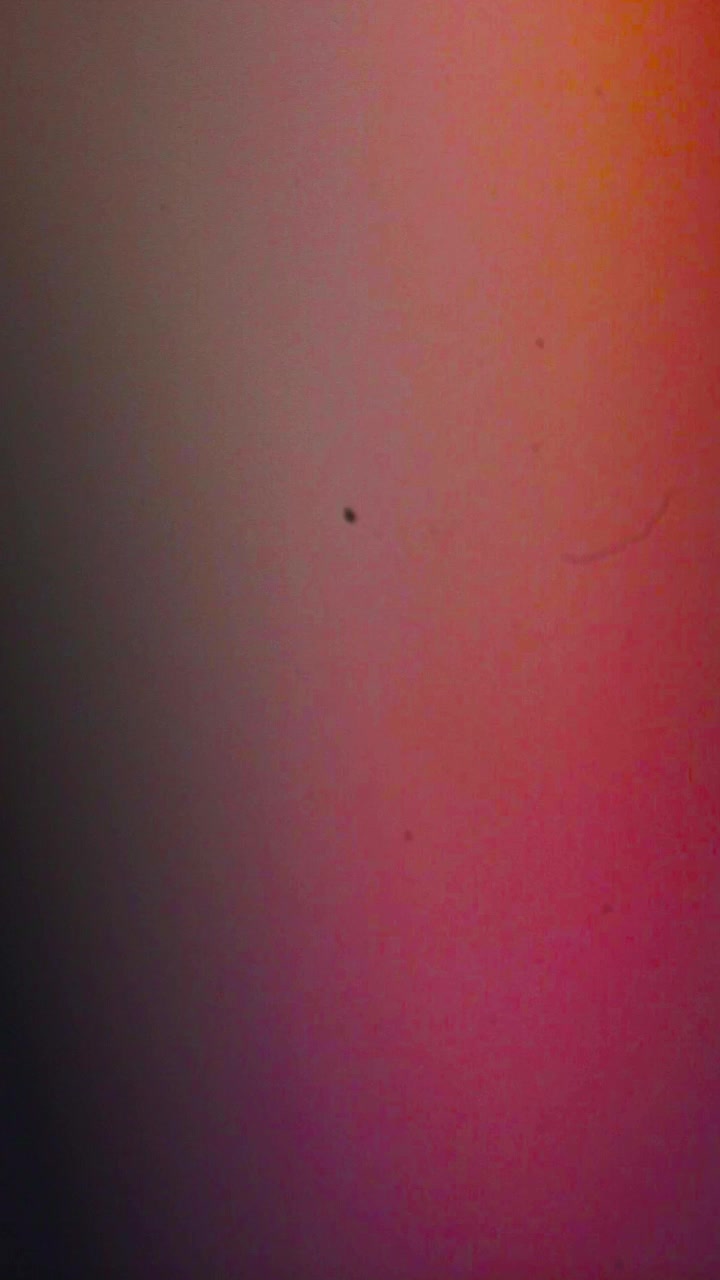 Overlay astratto e colorato con light leaks e lens flares.