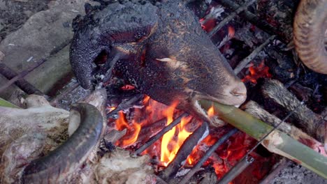 head-of-goat-burned-with-fire-from-firewood