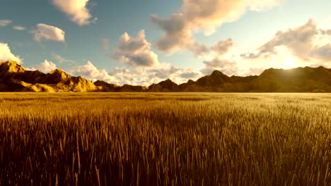 autumn view, yellow grass, blue sky with clouds, morning sun and mountains in the distance. beautiful summer loop background.