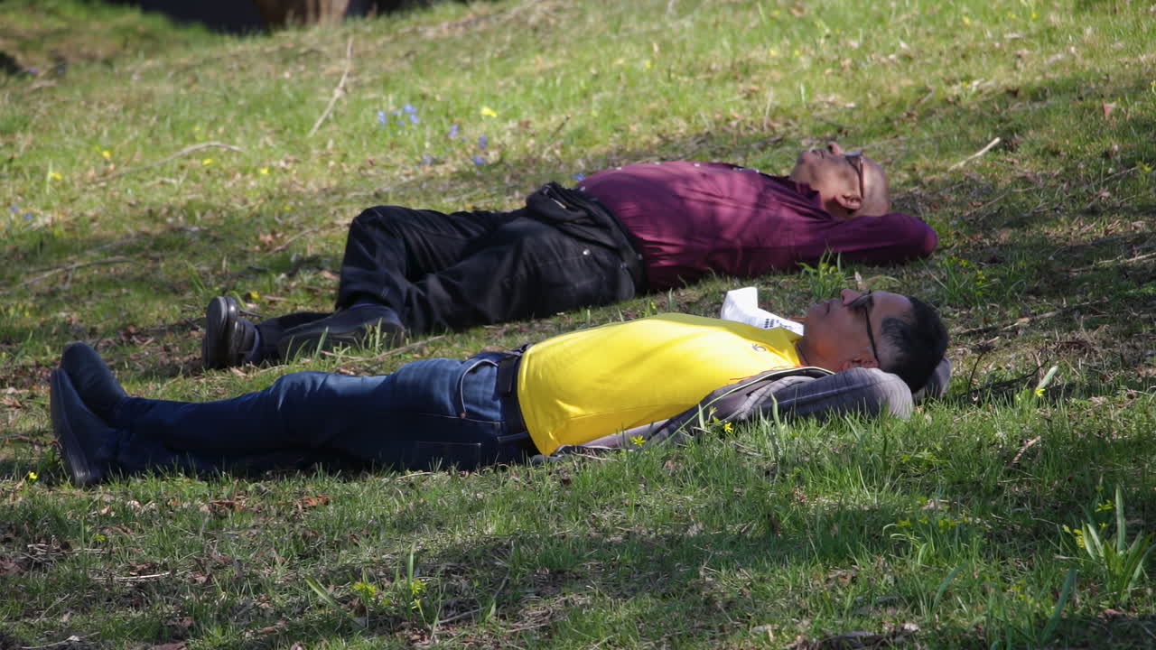 To indiske menn hviler på en gresskledd ås i en bypark og nyter en solrik dag i Stockholm, Sverige. Perfekt for reise- eller avslapningstemaer.