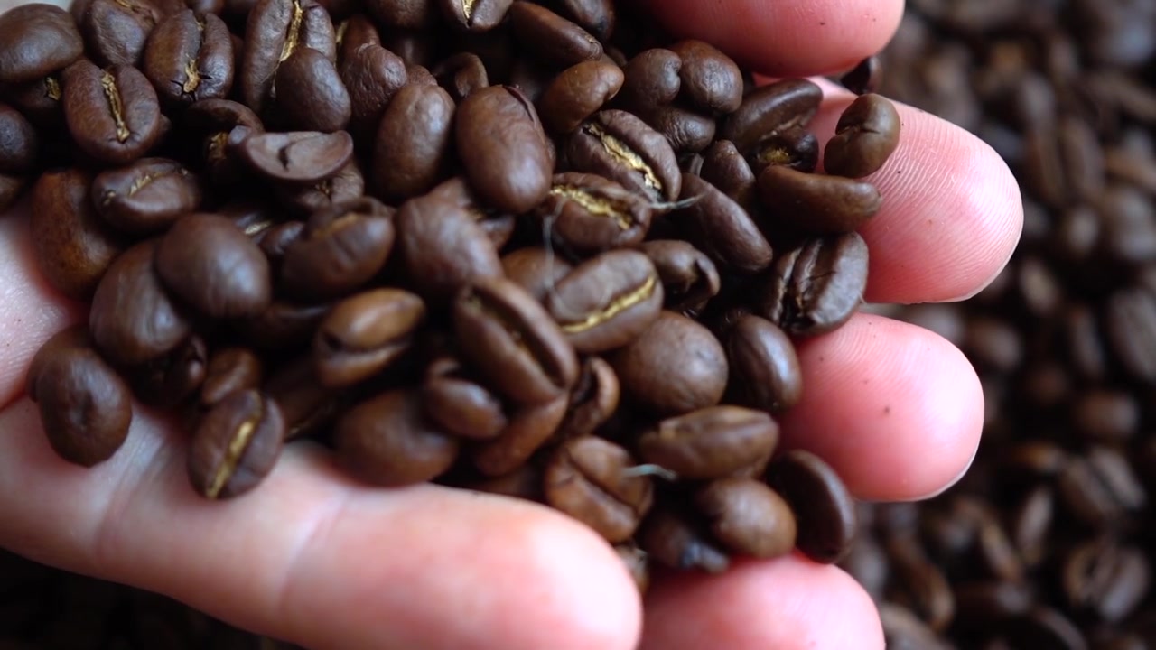 Chicchi di caffè sul sacco. Rallentatore.