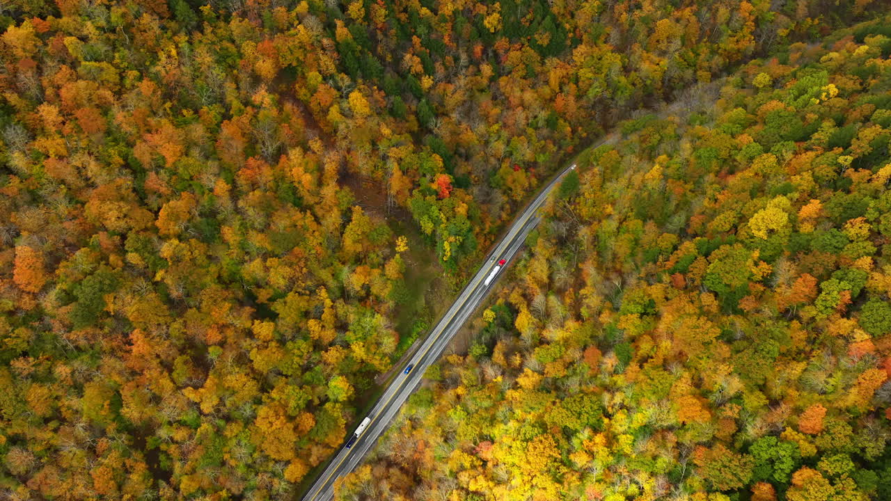 Green, yellow and orange trees in the view of vast woodlands. Cars and lorries move by the highways crossing the forests. Top view.