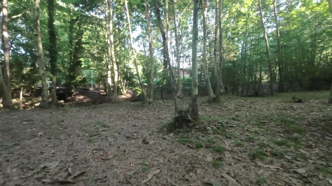 바르셀로나의 구알바 숲을 가로질러 빛을 필터링하는 fpv 드론 관점, 조용하고 자연스러운