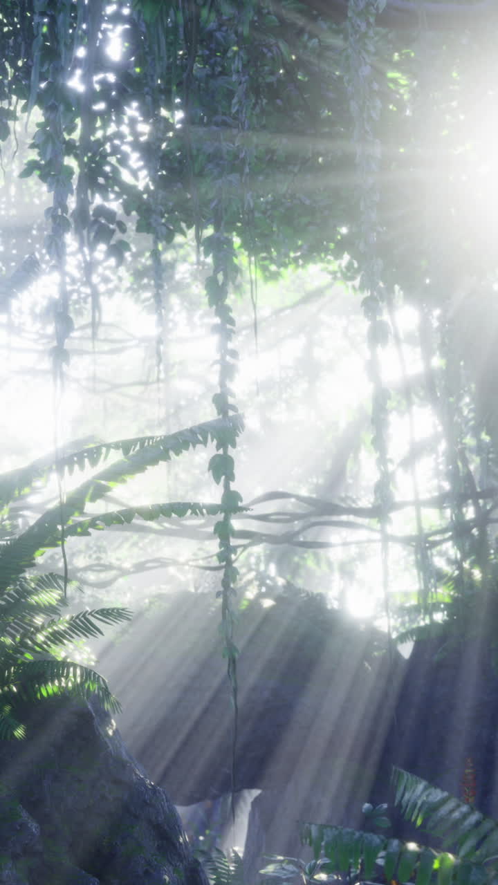 Light shines through trees in a dense jungle with mist and foliage