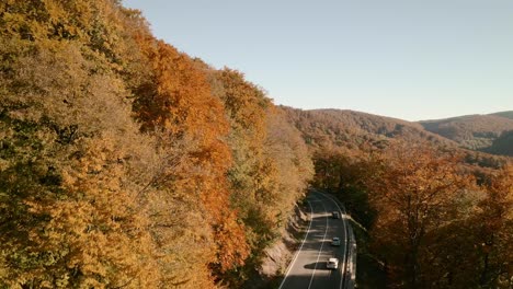 aerial reveal footage of cars driving along a scenic road in an autumn coloured forest in a picturesque slovak countryside