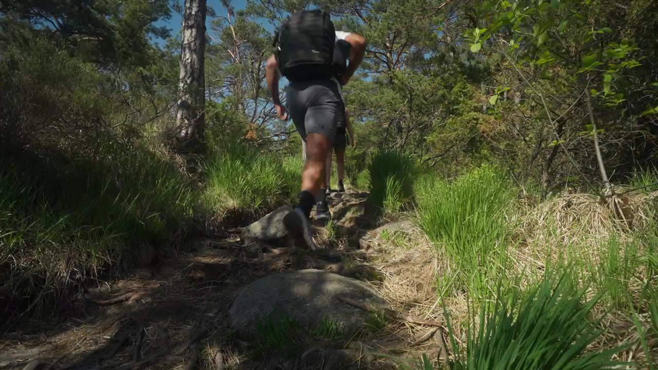 Low angle shot of hikers passing through a forest trail surrounded by rocks, trees, and bushes under a bright clear blue sky in natural wilderness.