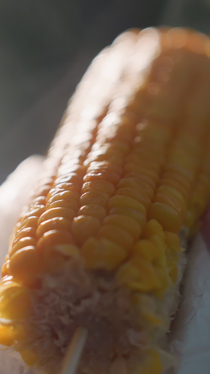 up de maíz siendo girado con el vapor subiendo, persona sosteniendo maíz con envoltura de plástico, luz suave iluminando granos, fondo borroso con figuras lejanas y al aire libre cálido