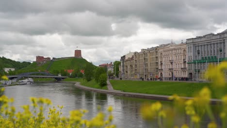 vilnius, lithuania – 29 may 2022. gediminas tower visible in the distance with yellow field flowers