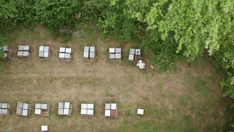 Im-Frühjahr-Eine-Atemberaubende-Luftdrohnenaufnahme-Eines-Imkers,-Der-Honig-Aus-Bienenstöcken-Sammelt