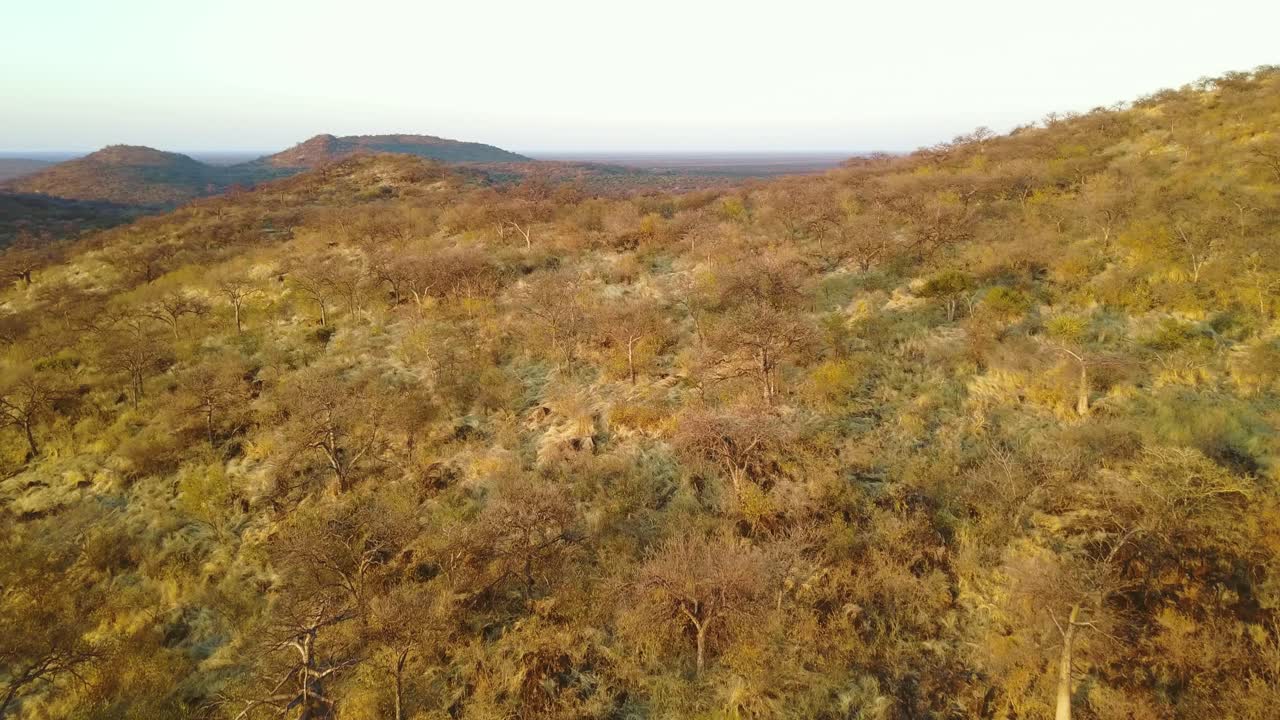 volando sobre las laderas de las montañas africanas durante la estación seca