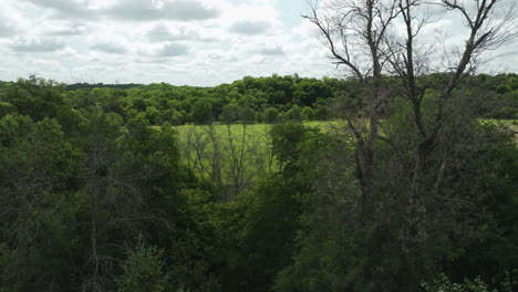 park with green meadows and dense thicket near oronoco in olmsted county, minnesota, united states