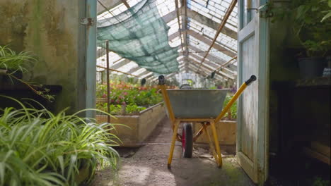 old greenhouse with plants and wheelbarrow