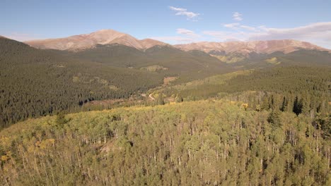 aerial view of an aspen covered ridge with