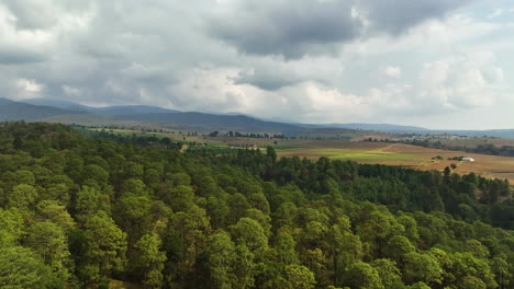 Vista-Aérea-Que-Se-Eleva-Sobre-El-Bosque,-Hacia-Una-Casa-Con-Un-Laberinto,-En-La-Zona-Rural-De-Puebla,-México.