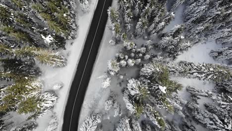 雪覆蓋的森林中的曲線風路,上下空景-3