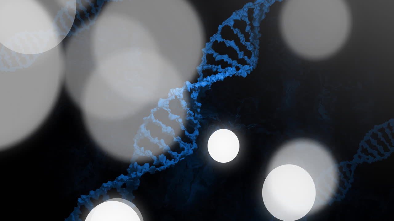 Filamenti di DNA e sfere luminose, animazione scientifica