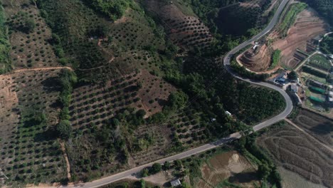 El-Paisaje-Pacífico-De-Una-Carretera-Rodeada-De-árboles-Verdes-En-Tailandia---Toma-Aérea