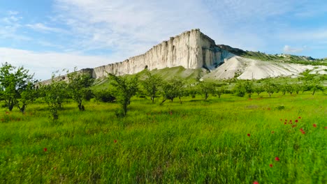 white cliffs and green valley landscape