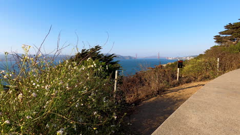 View-of-the-Golden-Gate-Bridge-from-the-Lands-End-Trail-on-the-Marin-Coastline-in-San-Francisco,-Northern-California-on-a-still,-calm,-beautiful-summer-night---4K