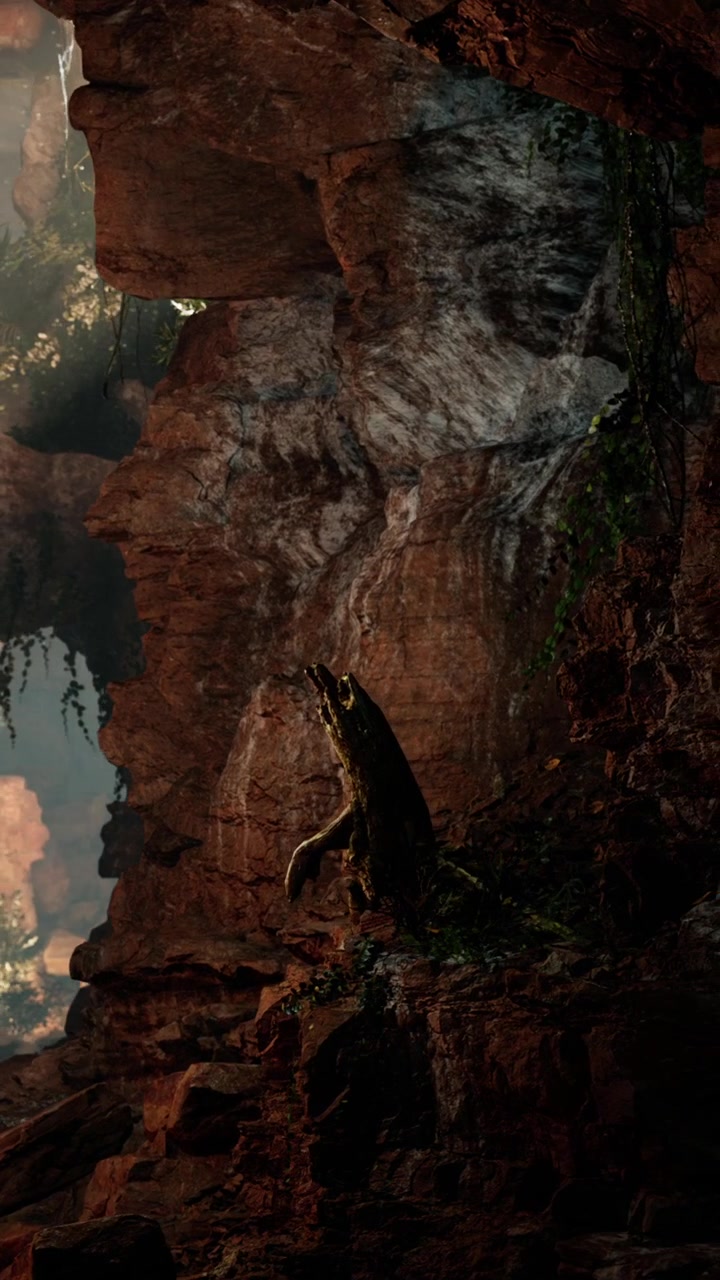 Views from a rocky cliff under sunlight shining through trees in a forest