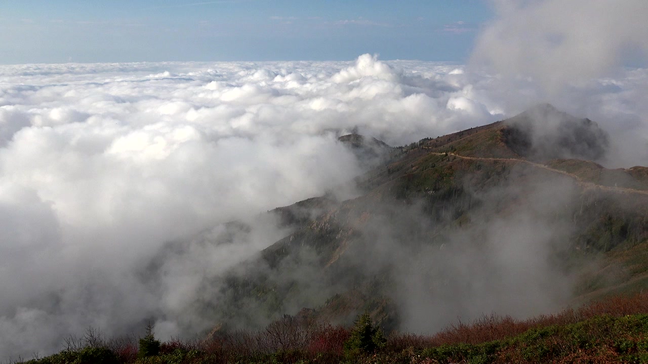Aerial View of Mountain Peaks Rising Above a Sea of Clouds