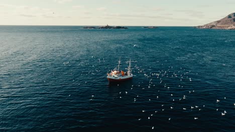 seagulls and fishing trawler in the sea in nordland, lofoten archipelago, norway. - aerial shot