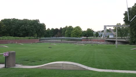 a field of canadian geese in slow pan during a sunset