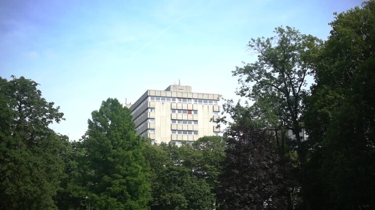 Un singolo edificio in lontananza circondato da alberi e rami.