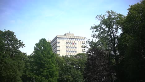 Un-Solo-Edificio-En-La-Distancia-Rodeado-De-árboles-Y-Ramas