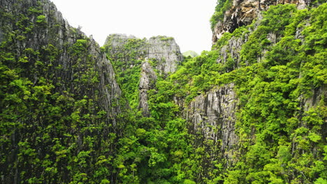 Toma-Aérea-Altísima-De-Vegetación-Que-Crece-En-Lo-Alto-De-Acantilados-De-Piedra-Caliza-En-Tailandia