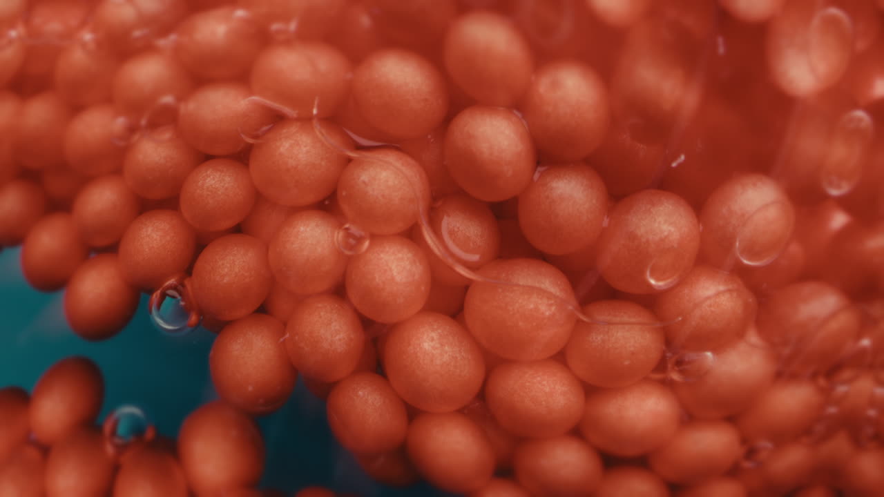 Close-up view of red spheres in water