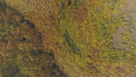 Imágenes-Aéreas,-Bosques-De-La-Península-De-Los-Balcanes-Durante-El-Período-De-Otoño