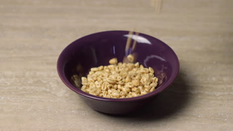 close up of honey wheat cereal falling in empty purple bowl on counter