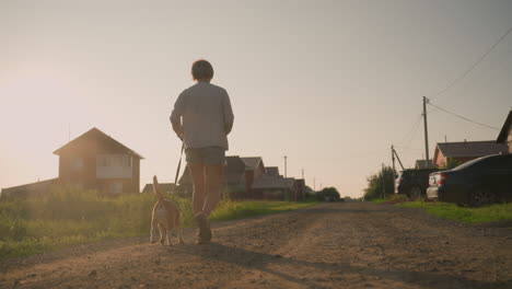 back view of woman walking with dog on leash along dirt road near farmland, with dog sniffing ground, bright sunlight creating long shadows, rural setting with houses, cars, and power lines visible