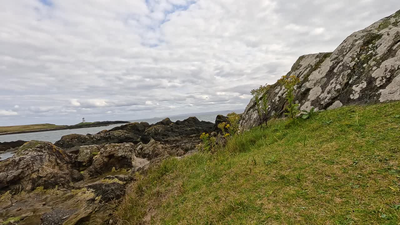 orilla rocosa con mar y flores silvestres