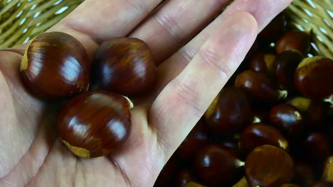 Close-up, macro view of freshly harvested chestnuts with rich, textured details in natural lighting.