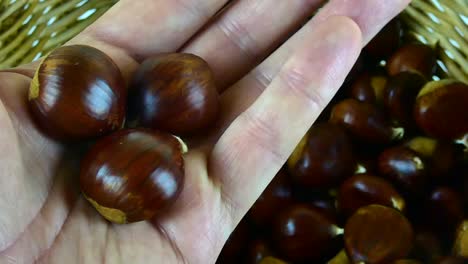 close-up, macro view of freshly harvested chestnuts with rich, textured details in natural lighting.