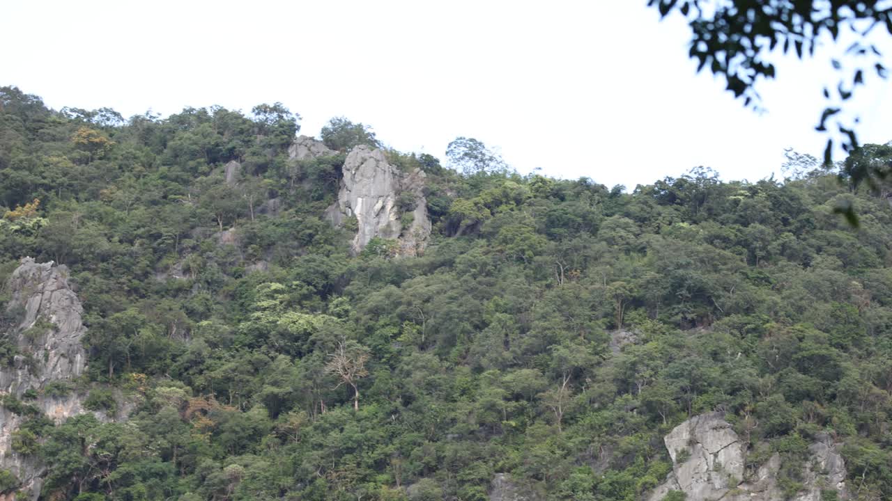 time-lapse de un paisaje de montaña verde.