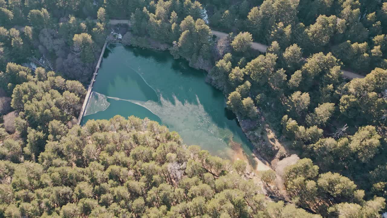 Vista aerea di un lago artificiale in una pineta tra le montagne