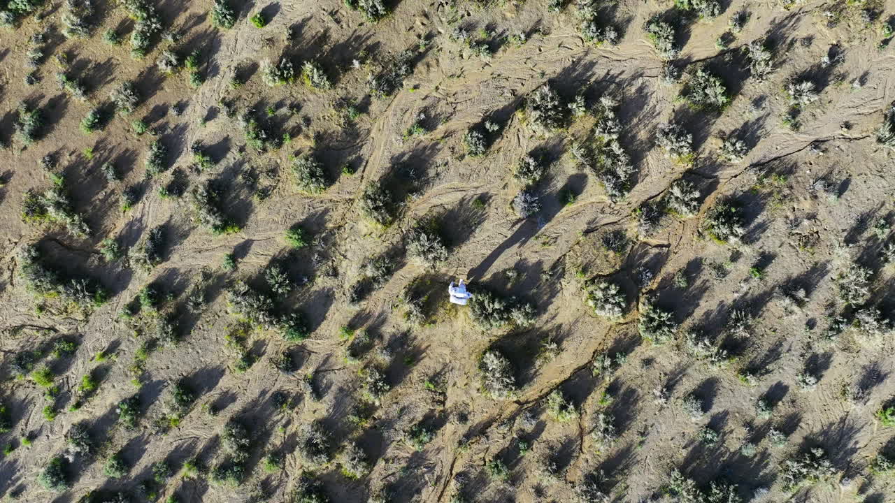 vista aérea de los pájaros por encima de un astronauta caminando a través de la naturaleza desértica soleada