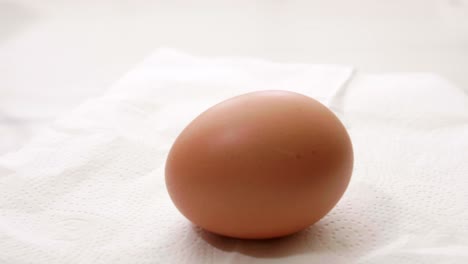 Close-up-organic-egg-rotation-on-a-white-soft-paper-background