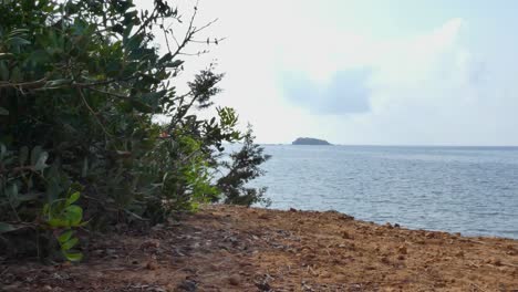 Eine-Insel-Vor-Der-Küste-Von-Ibiza,-Die-Hinter-Der-Vegetation-Auftaucht