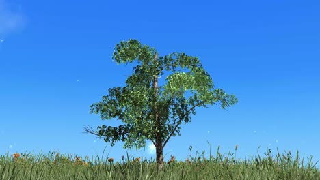 animated time lapse beautiful blue sky over single tree with clouds in motion