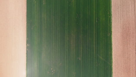 aerial view of a field with green sprouting young vegetation and a yellow ungreen field surface, abstract impression